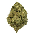 Skywalker Indoor