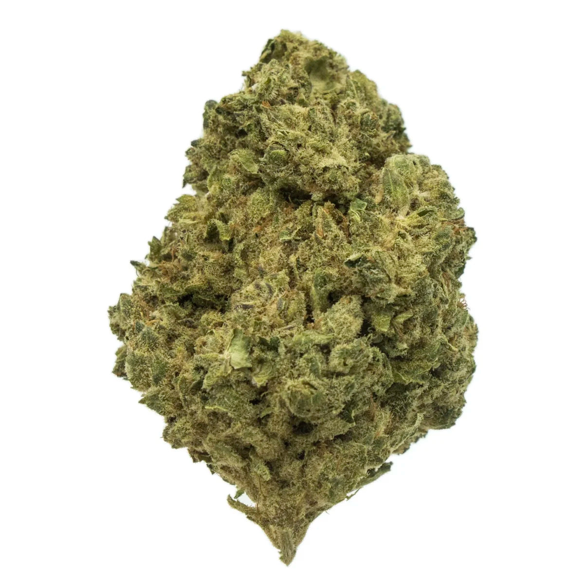 Skywalker Indoor