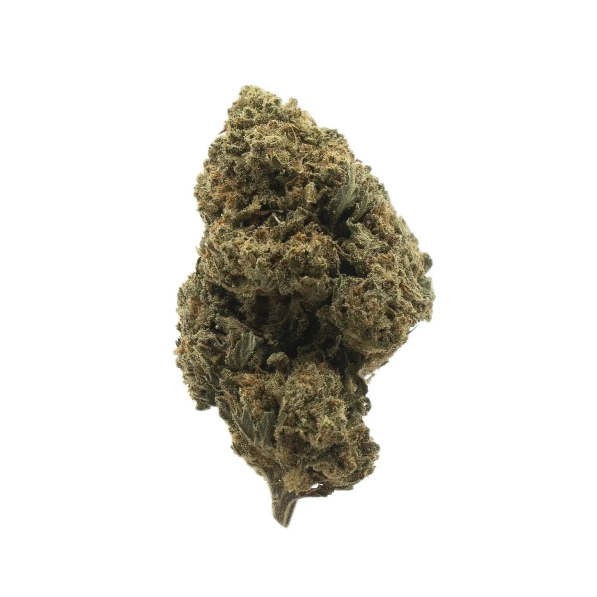 Cali Haze Indoor