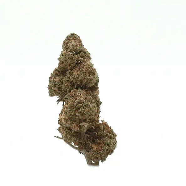 Estufa de CBD com morango